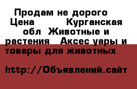 Продам не дорого. › Цена ­ 200 - Курганская обл. Животные и растения » Аксесcуары и товары для животных   